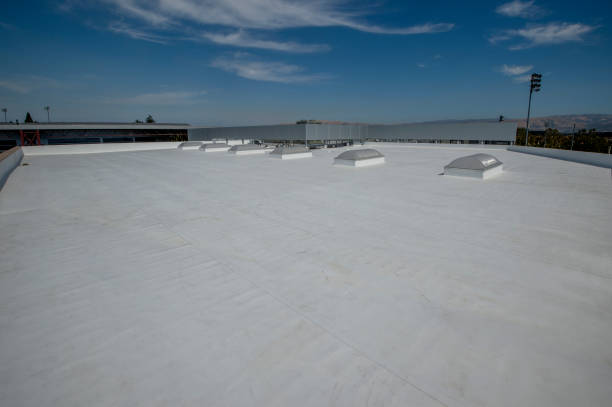 Best Flat Roofing  in Phillipsburg, GA