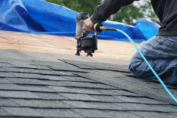 Best Chimney Flashing Repair  in Phillipsburg, GA