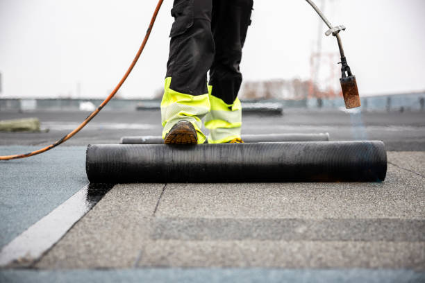 Best Steel Roofing  in Phillipsburg, GA