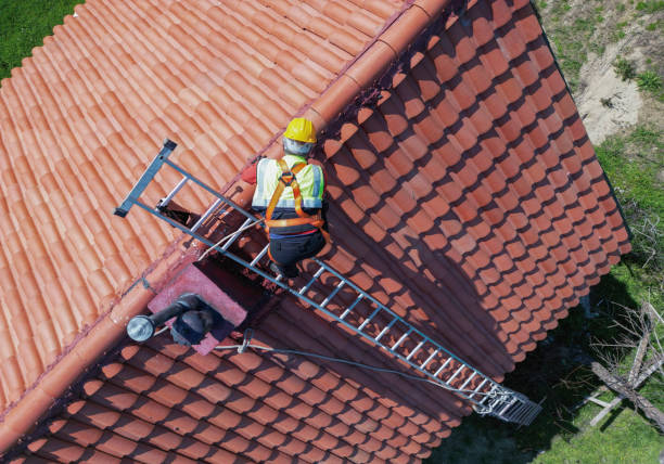 Best Cold Roofs  in Phillipsburg, GA