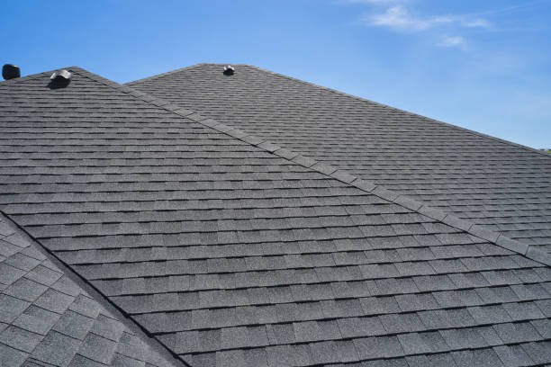 Best Solar Panel Roofing Installation  in Phillipsburg, GA